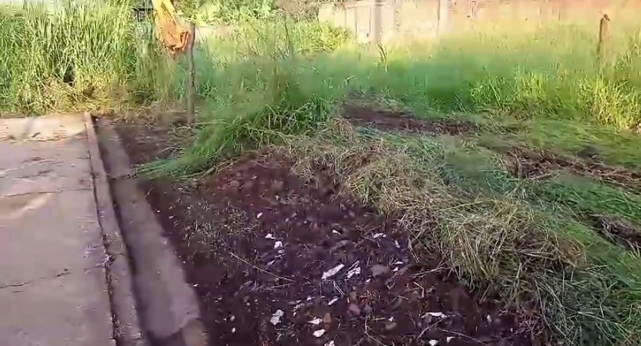 Foto 5 de 6 — Vias esburacadas e mato invadindo a rua; situação da Vila Renata preocupa moradores